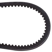 CINGHIA 1232 589531201 DENT.