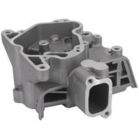 TESTA NUDA LC186F