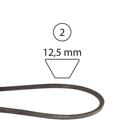 CINGHIA 1231/AK29