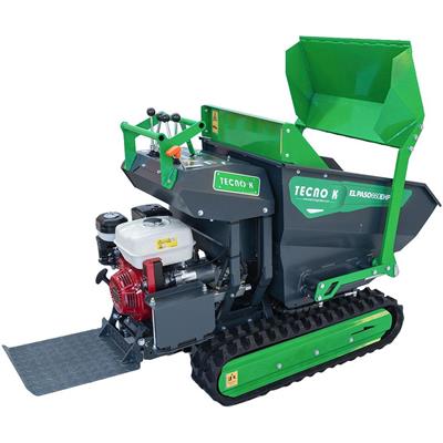 MOTOCARRIOLA EL PASO 660EHP