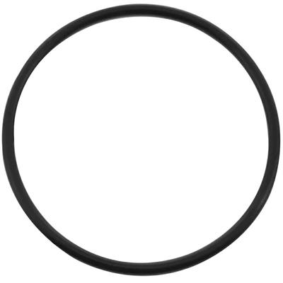O-RING 25X2,65 8T3000WV