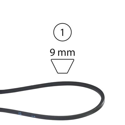 CINGHIA 484/544 V 1 54027