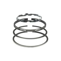 SERIE ANELLI (360062)