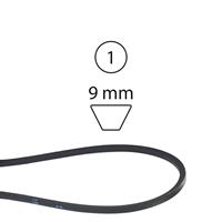 CINGHIA X PM5553